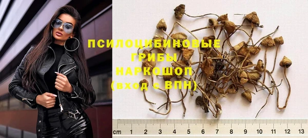 хмурый Верхний Тагил